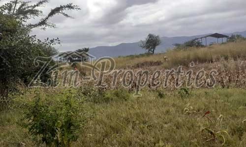Nyakamete Industrial Stand for Sale